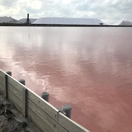 Le Clos Des Vignes Junas Екстер'єр фото